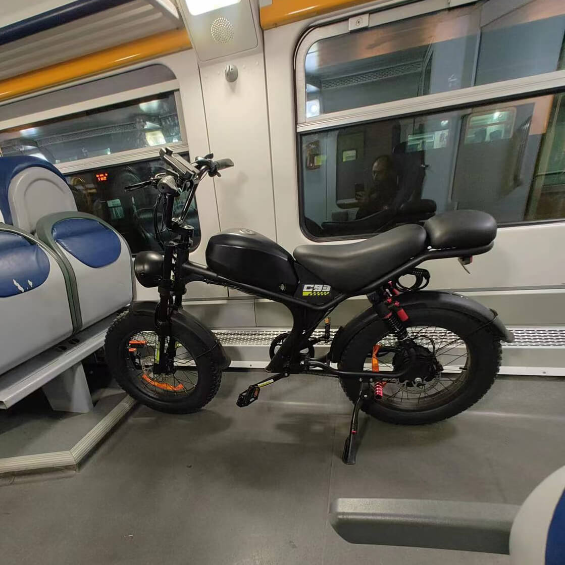 dual motor ebikes