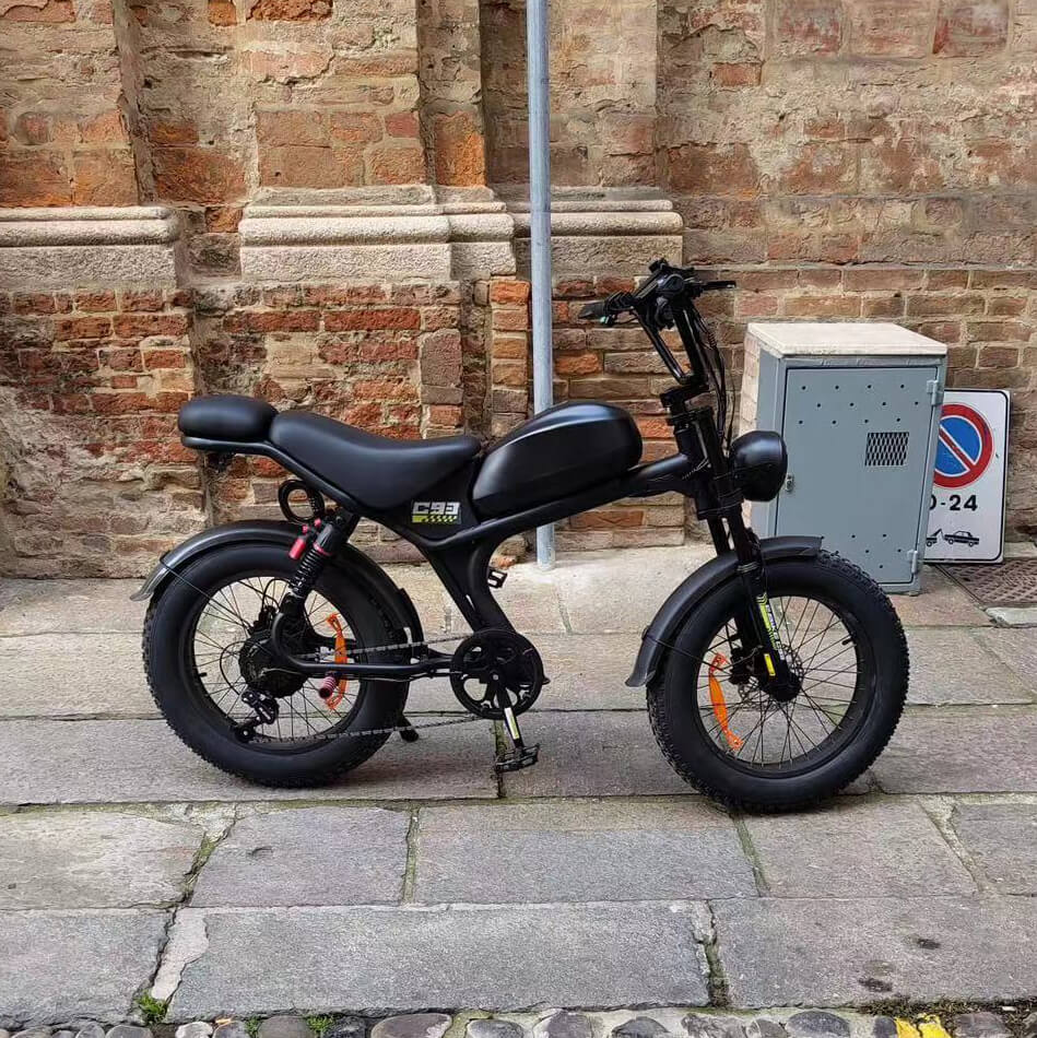 high performance moped  ebike