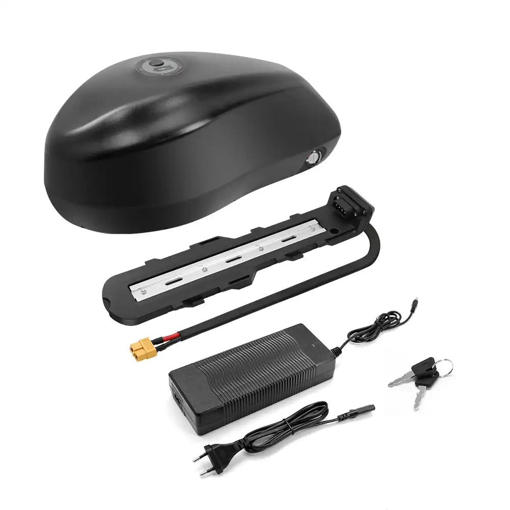 Batterie Vélo Électrique 48V 20Ah Style Frog (XT60) + Support & Chargeur 3A