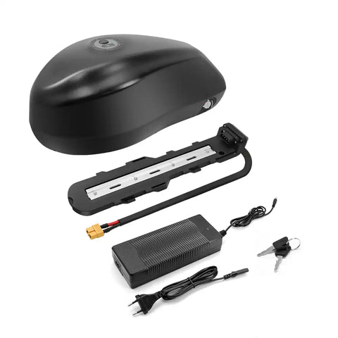 48V 20Ah Lithium E-Bike Battery for Conversion | With Rail, XT60 Output & 3A Charger