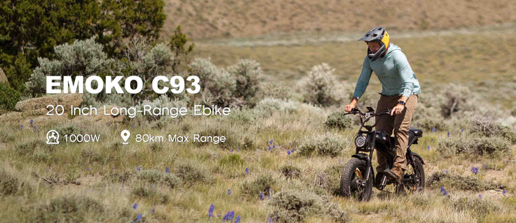 best performance
 e bike