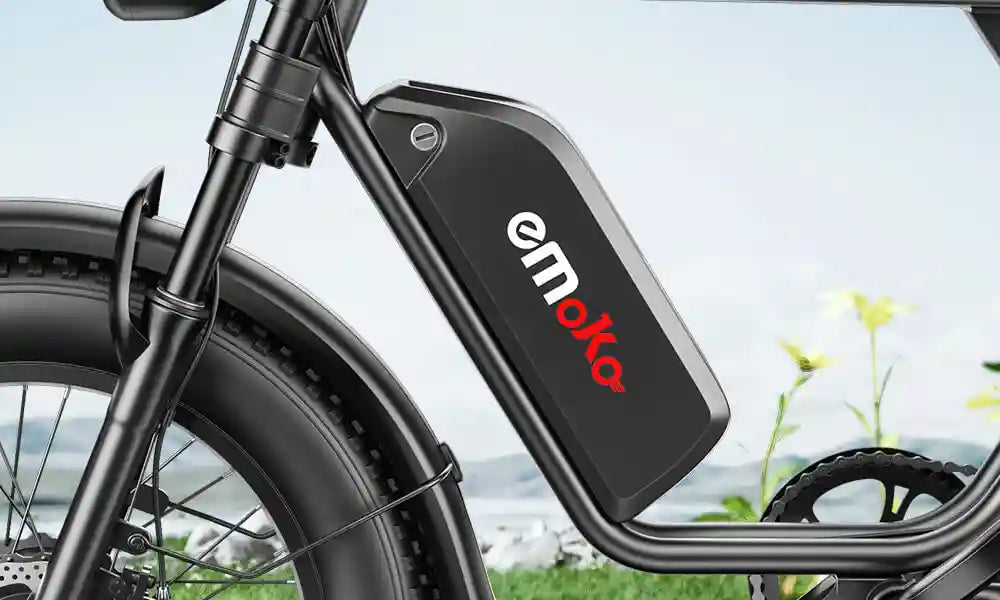 FREINS AVANT ET ARRIÈRE