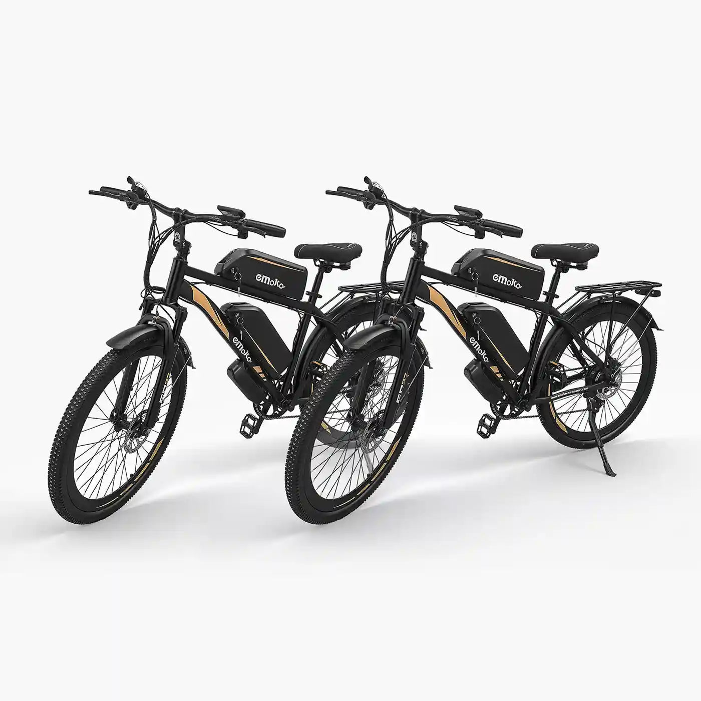 dual battery long range e-bike