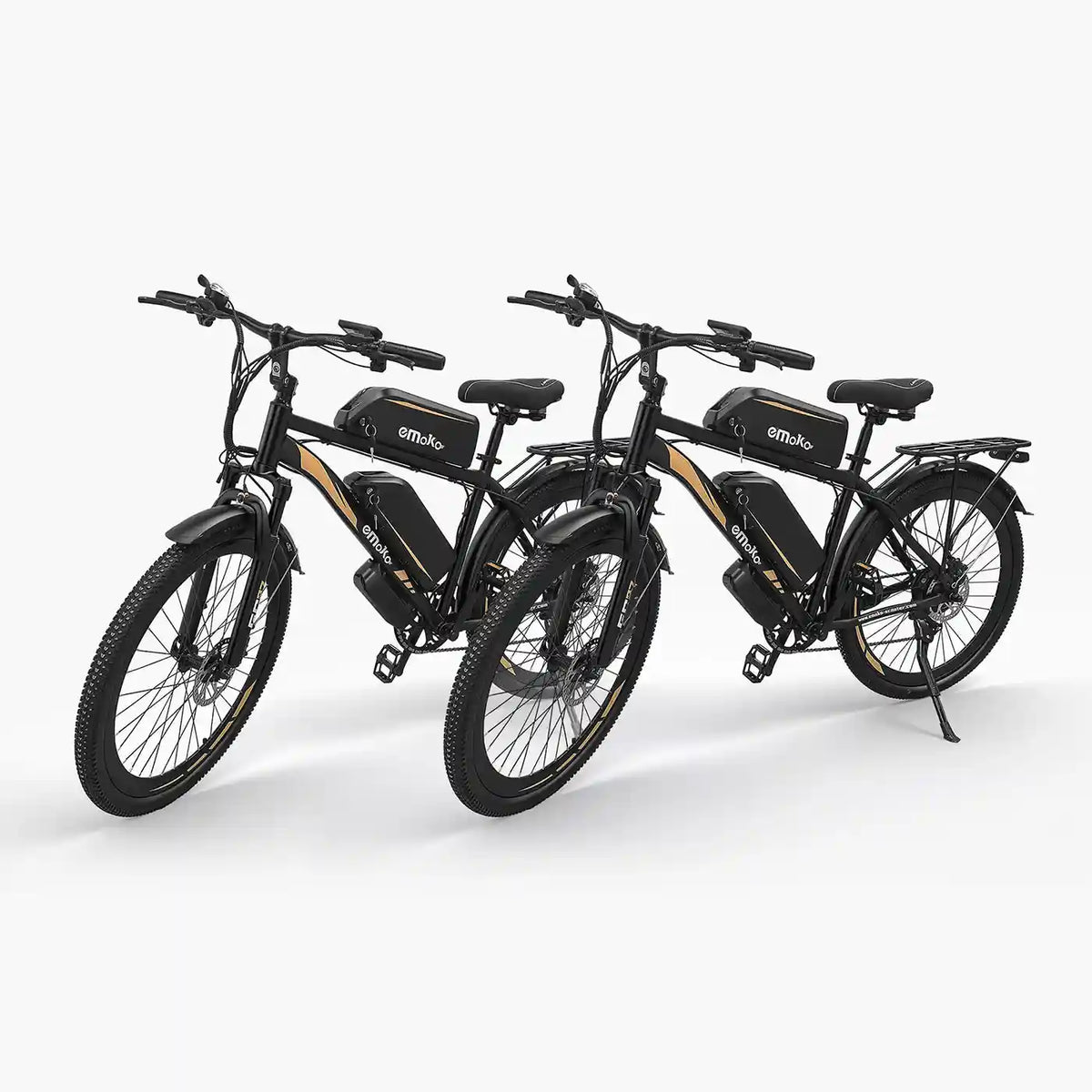 dual battery long range e-bike