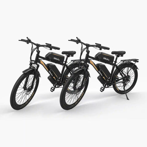 dual battery long range e-bike