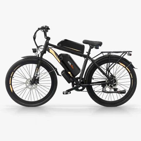 ebike dual battery