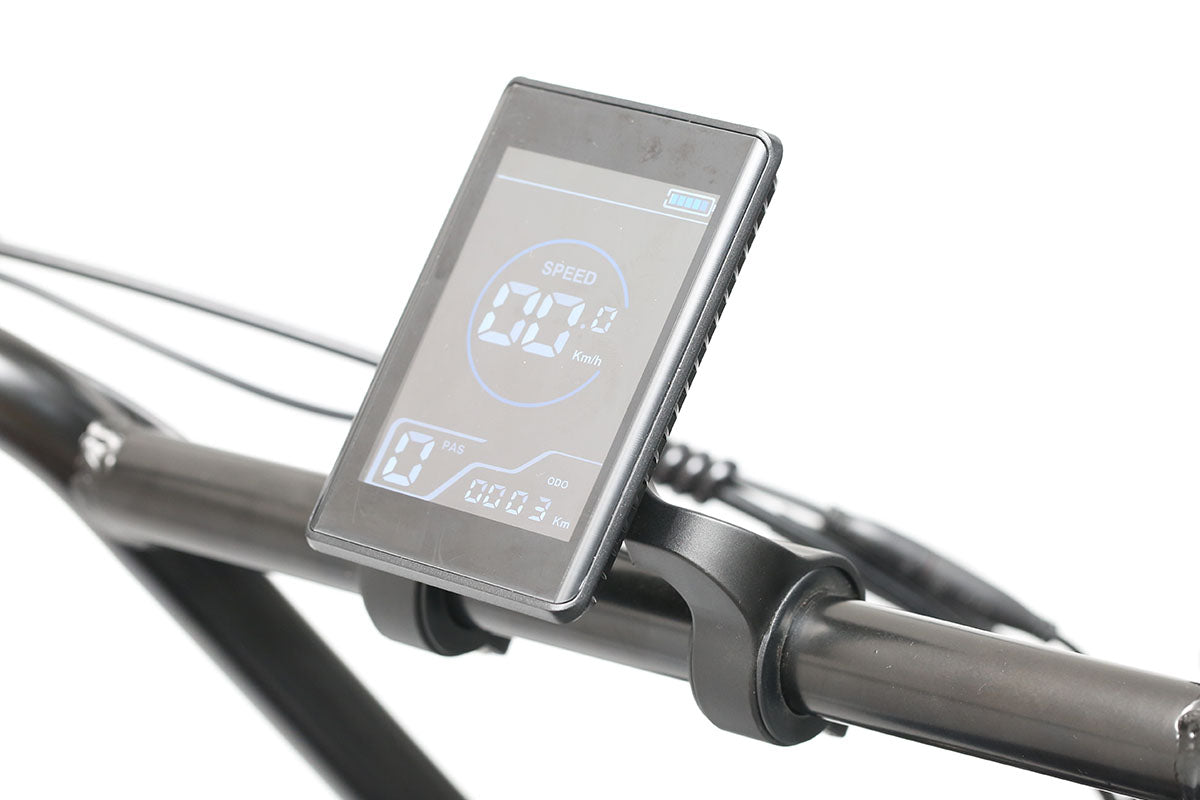 Electric Bike Display