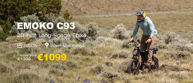dual hub 
motor ebike