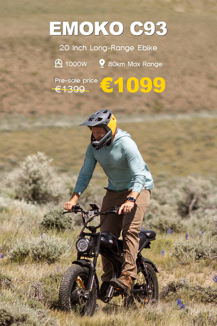 dual motor full
 suspension ebike