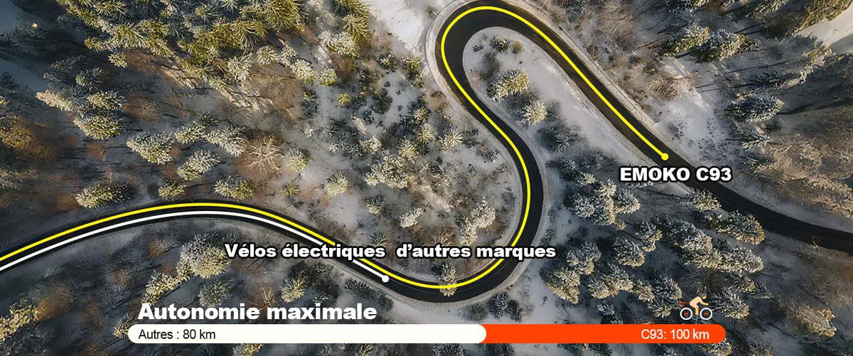 Gros plan sur le guidon et l'écran de contrôle LCD du fatbike Emoko C93