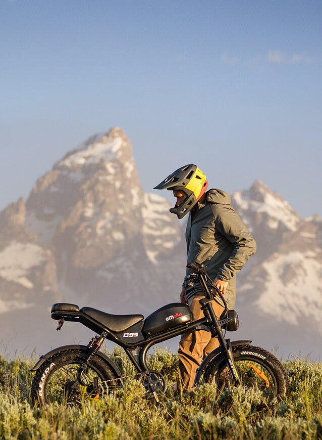 dual motor Electric bicycle